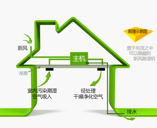 艾普生除湿机-别墅排屋中央新风净化除湿机